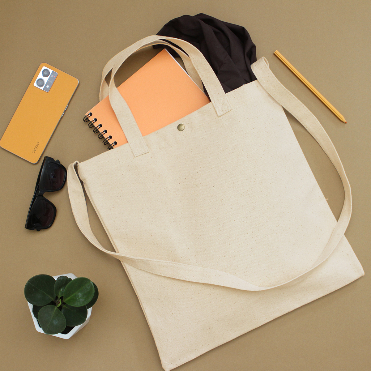 Bolsa Lagrasse. - Vista 8