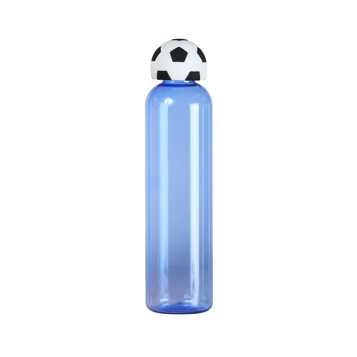Botella Pailin. - Vista 12